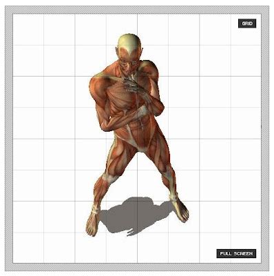 姿勢大全|Posemaniacs 免費、免版稅、可自由調整的 3D 肌肉模。